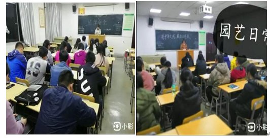 如今我们欢笑