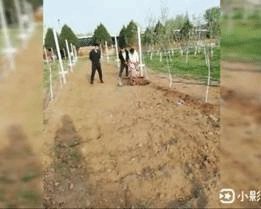 寒去暑往春华秋实