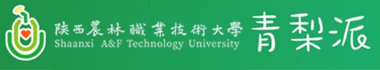 星空官方站线登录入口