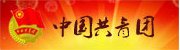 【网站管理】