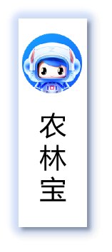 版权所有
