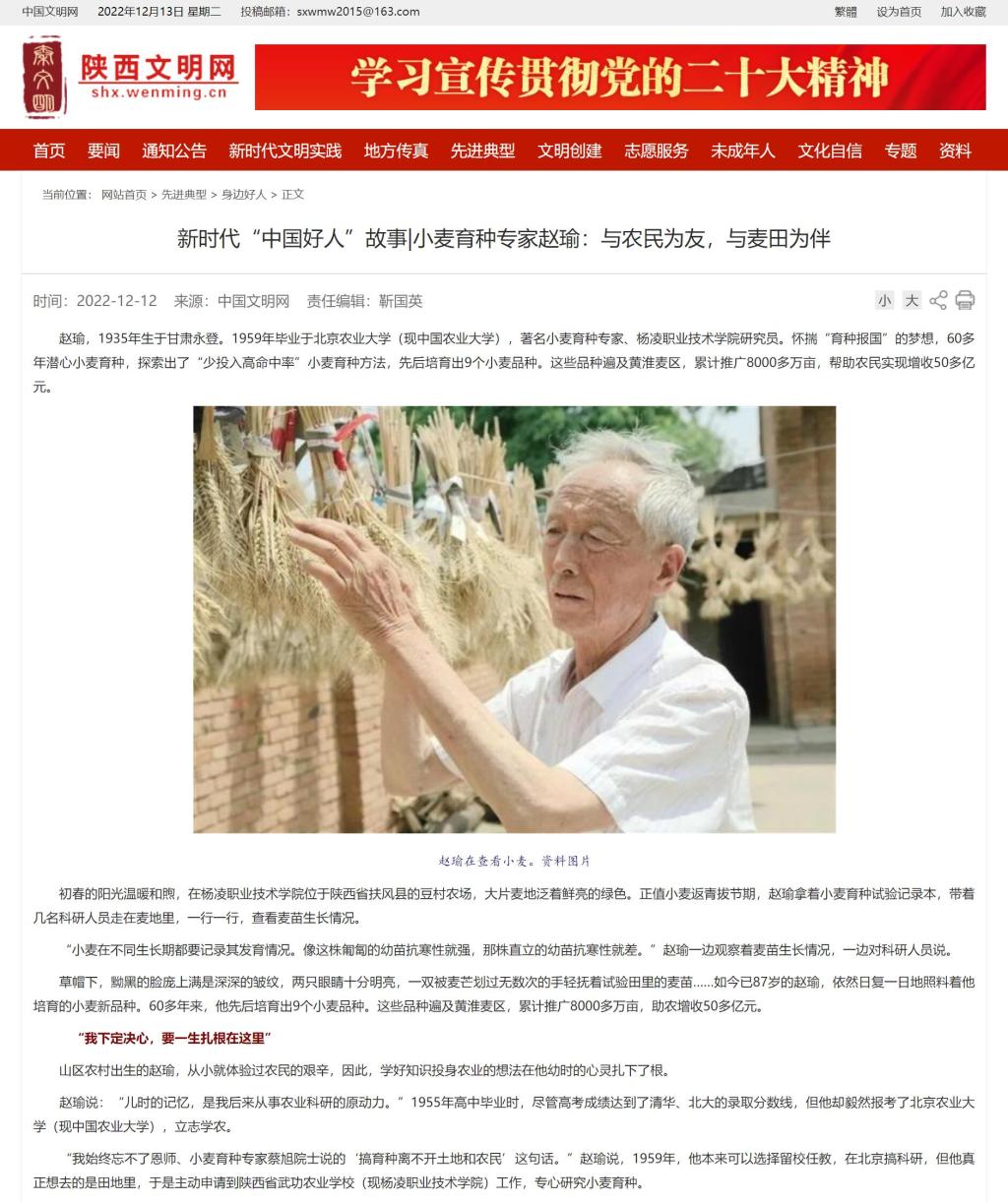 60多年潜心小麦育种