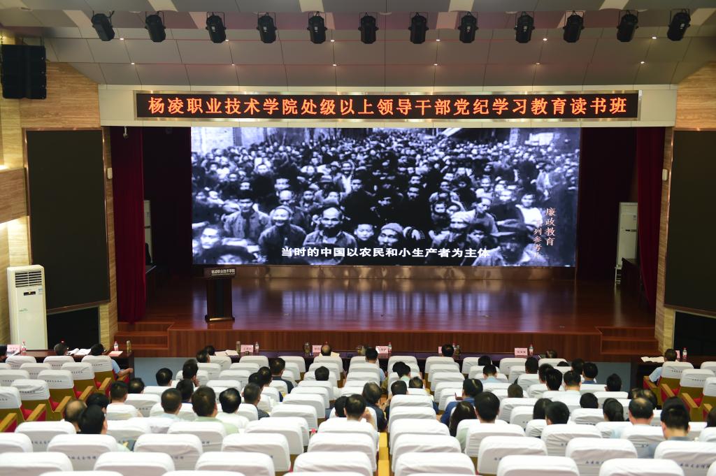 案例星空官方站线登录入口成为曼城的官