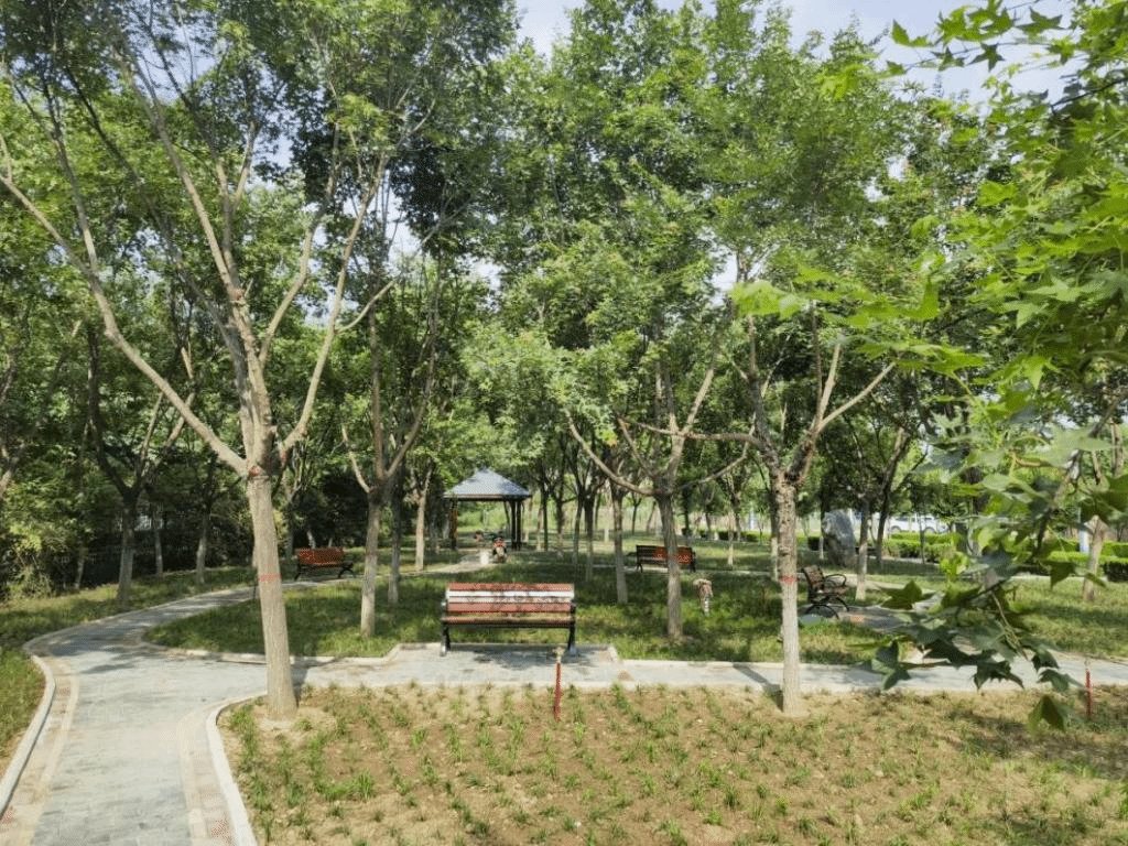 为师生营造了一个整洁