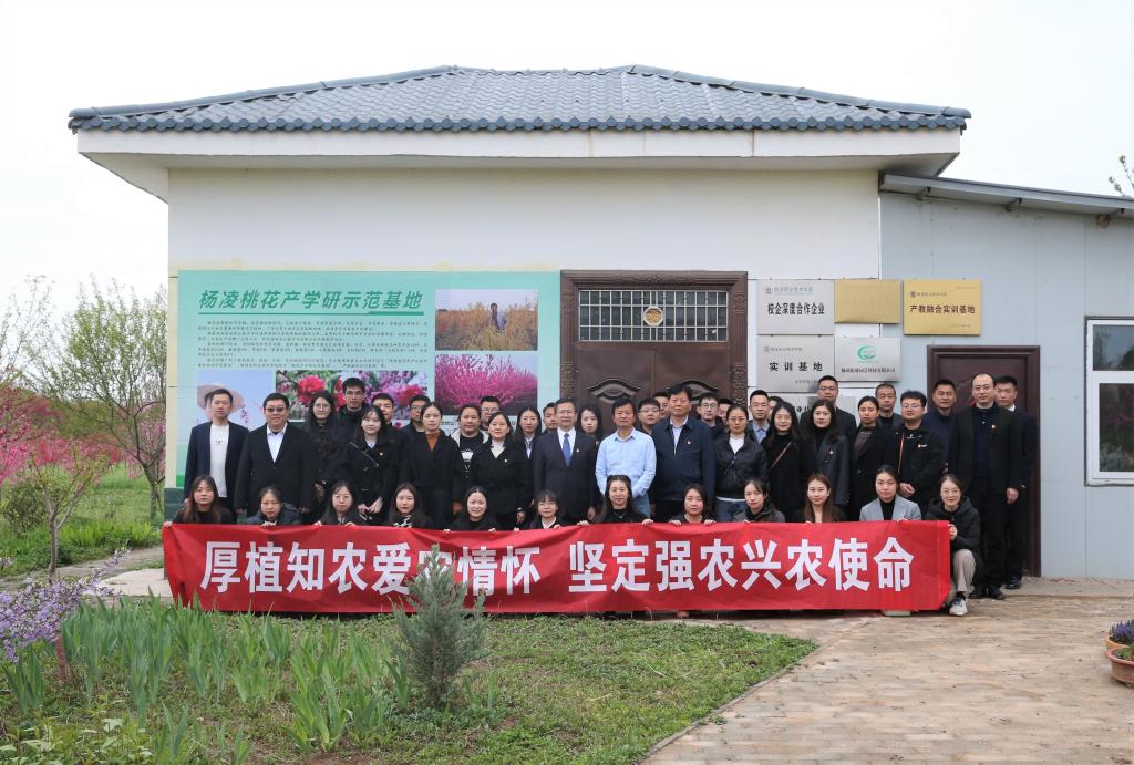 草莓教学实验基地等地
