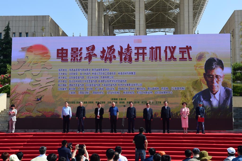 关于一个人的记忆》改编