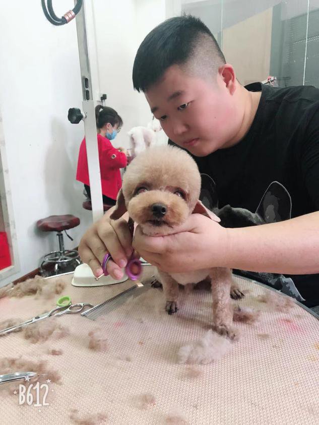 兴趣为先,付诸行动