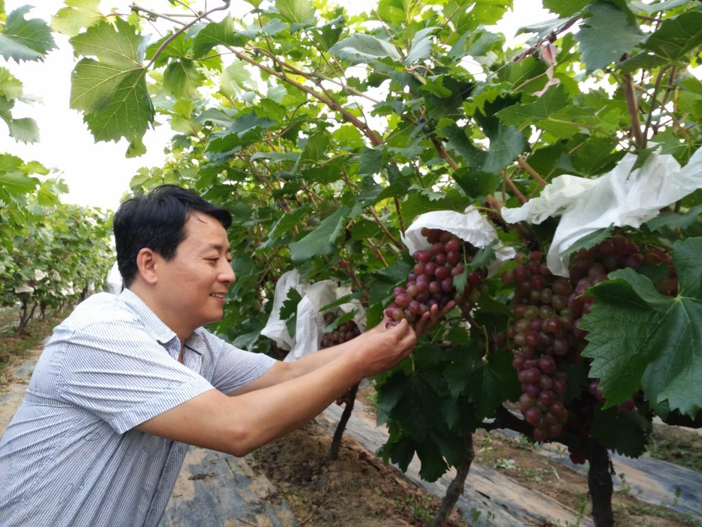 默默耕耘