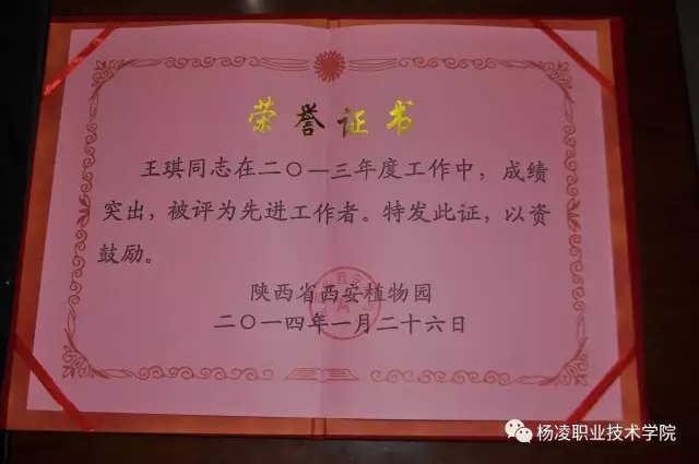 星空手机版新人权益宣传部以讲故事的形