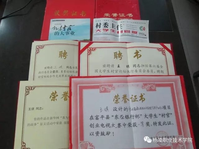 让我们一起聆听他们成长成才的故事