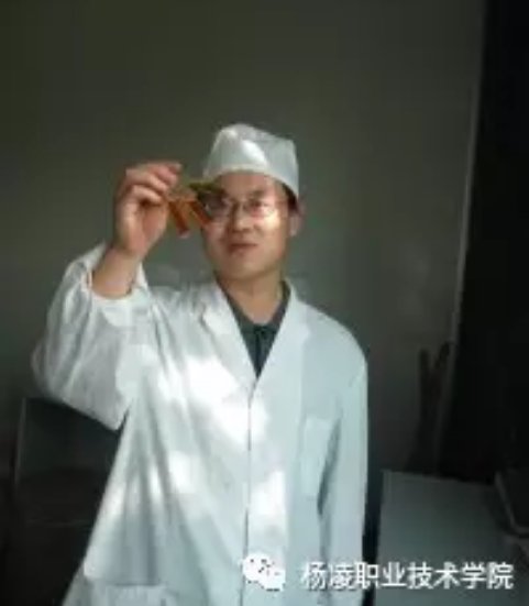 也留下无悔的青春和不老的传奇