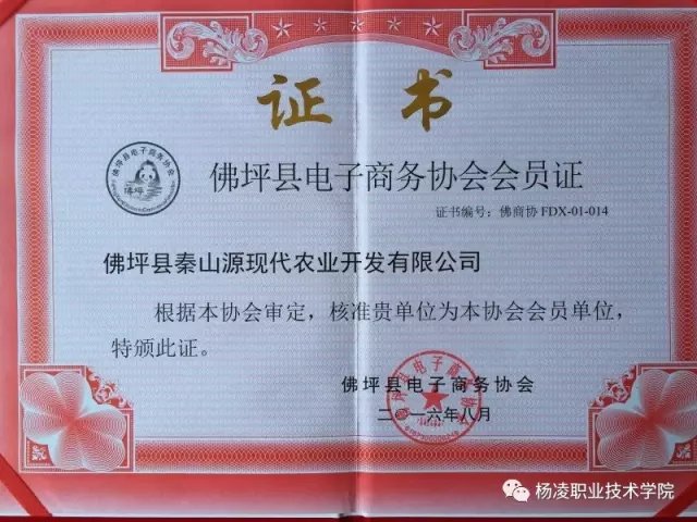 星空官方站线登录入口