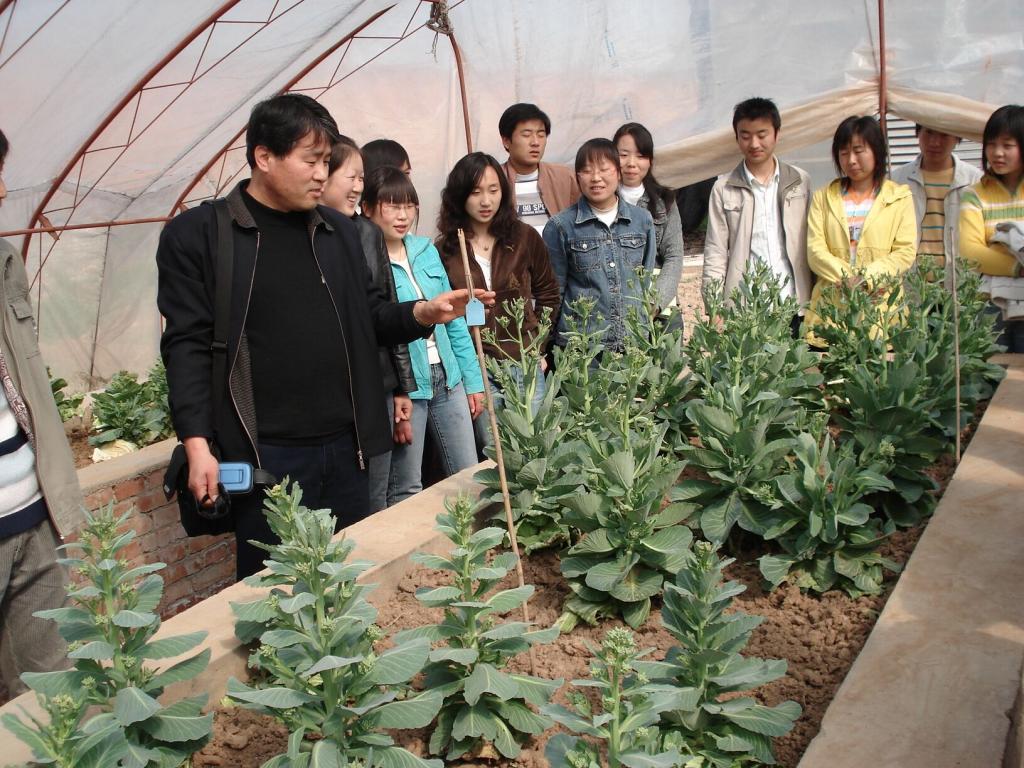 多次被邀请参加技术标准和新品种审定会