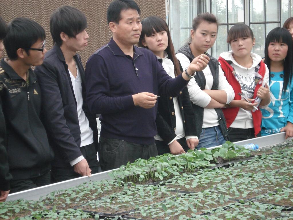制定了无籽西瓜生产标准