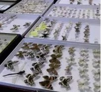 他用脚步丈量了这方土地