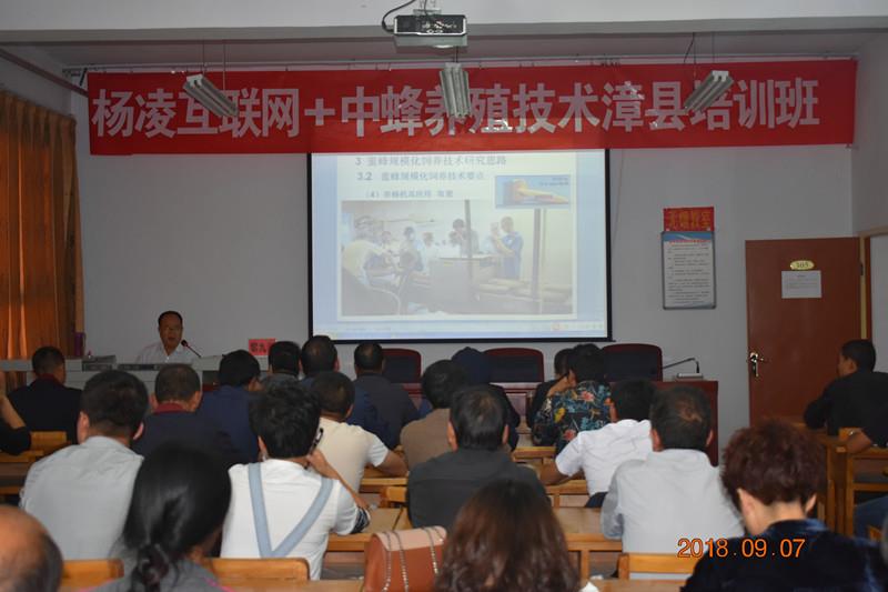在黎九洲从事蜜蜂养殖技术研究推广的4