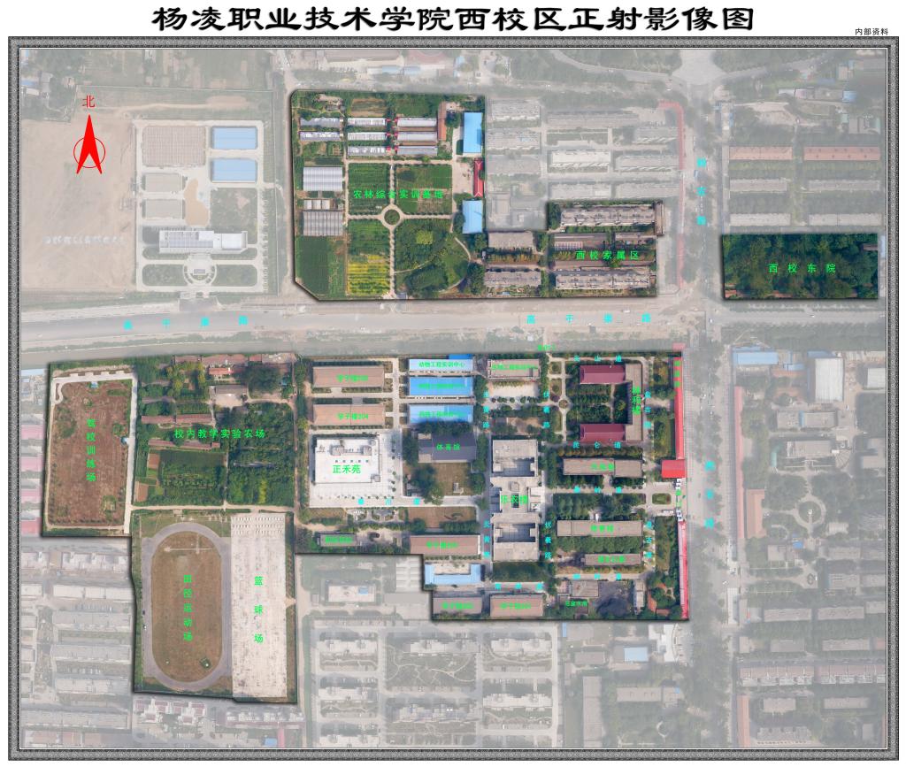 COPYRIGHT © 星空出任热刺