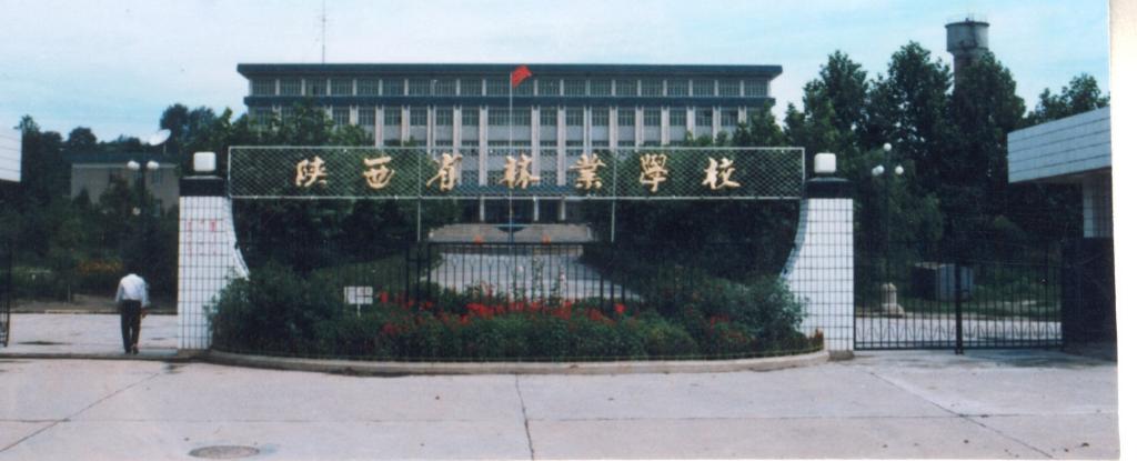 银行账号：