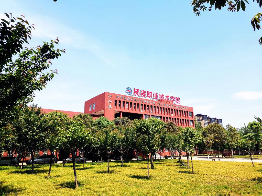 星空官方站线登录入口