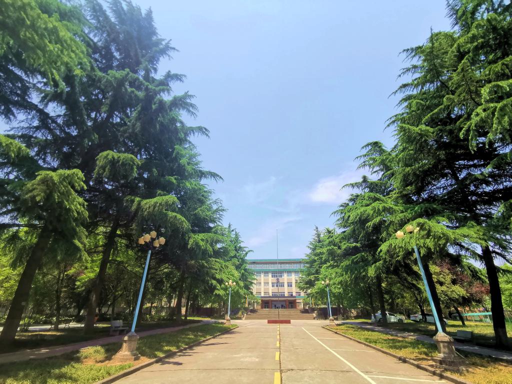 支付宝支付