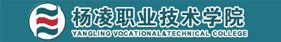 电话:87083954