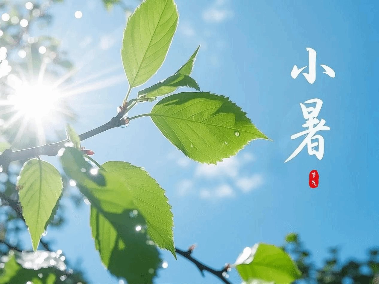 学工办：029-87011249