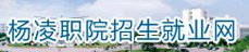 029-87015099