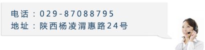 星空官方站线登录入口