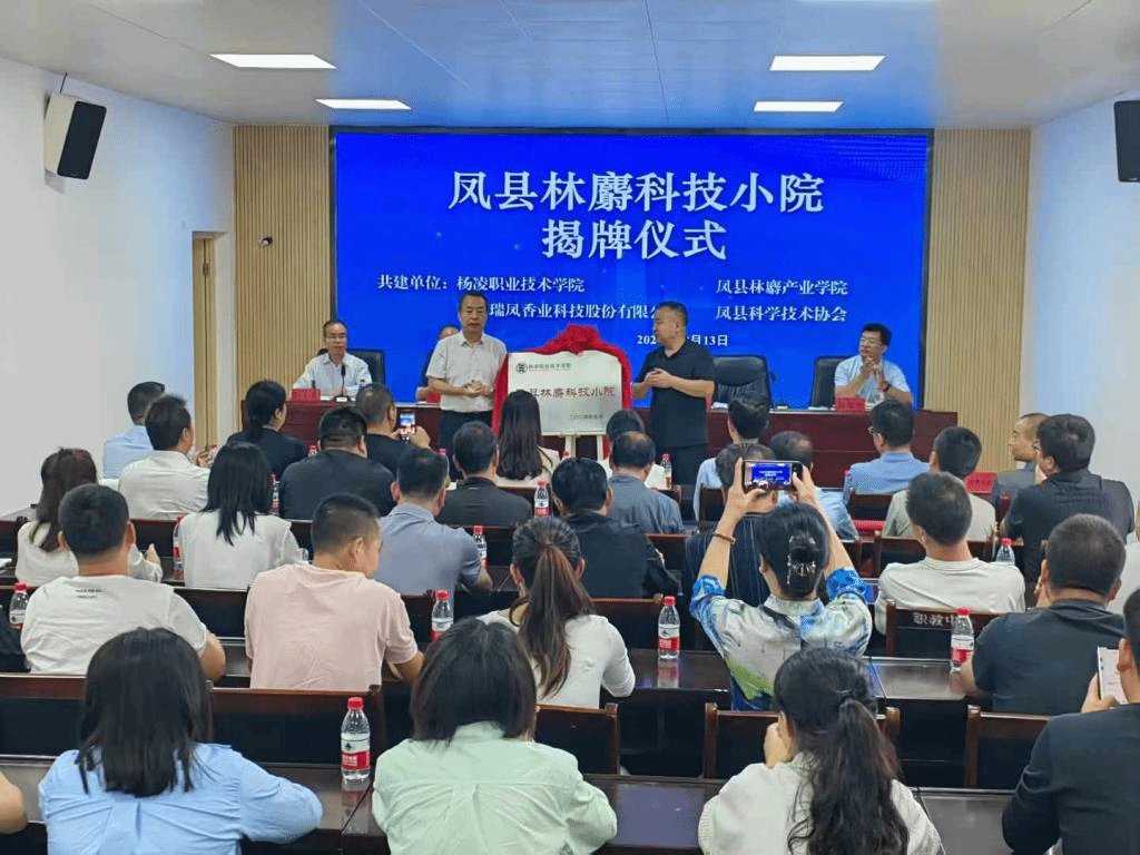 副校长胡俊鹏