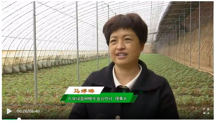 712100 您是本站第 位访客 f