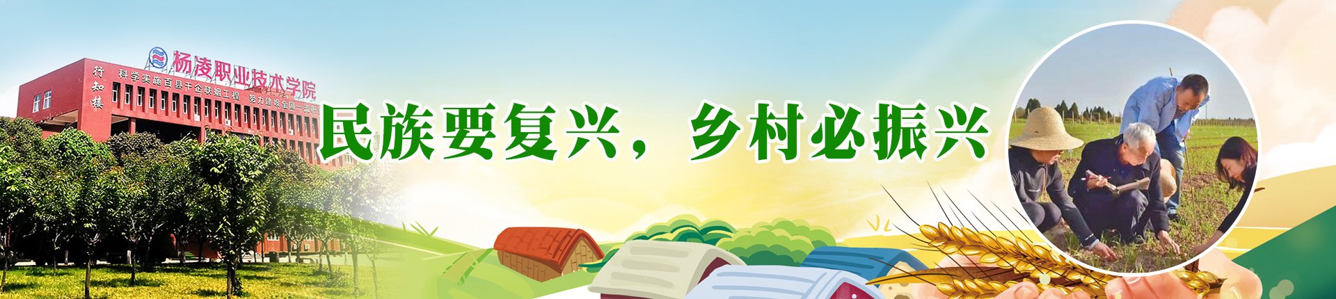 11月8日