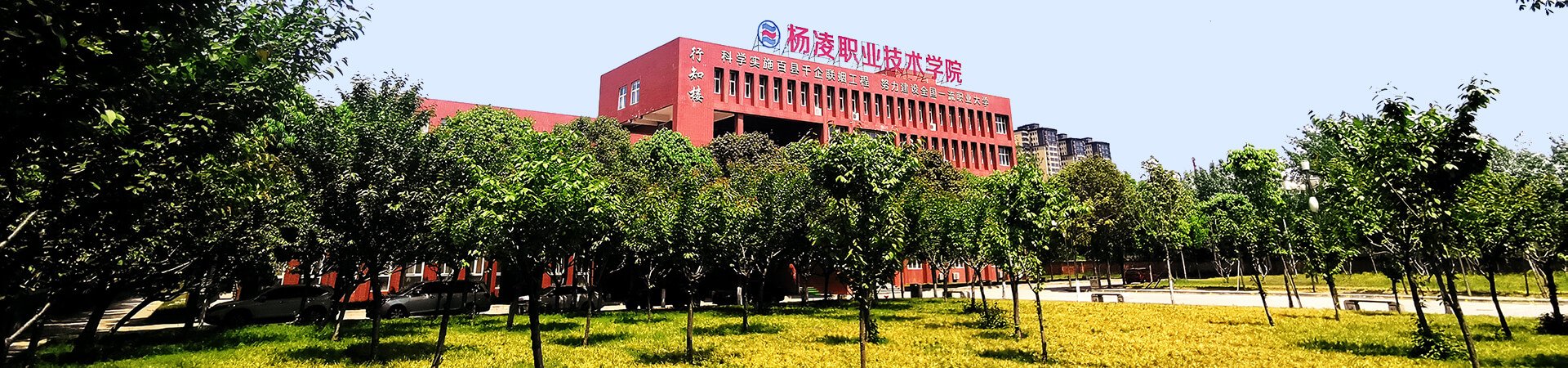 星空手机版登录首页 / 数字校园信息门户