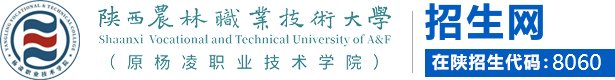 星空官方站线登录入口